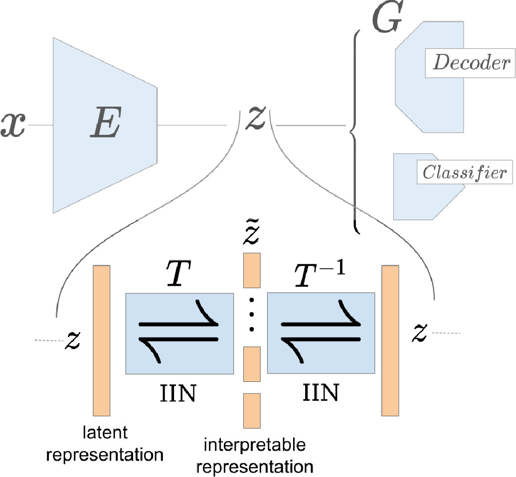 A Disentangling Invertible Interpretation Network for Explaining Latent Representations