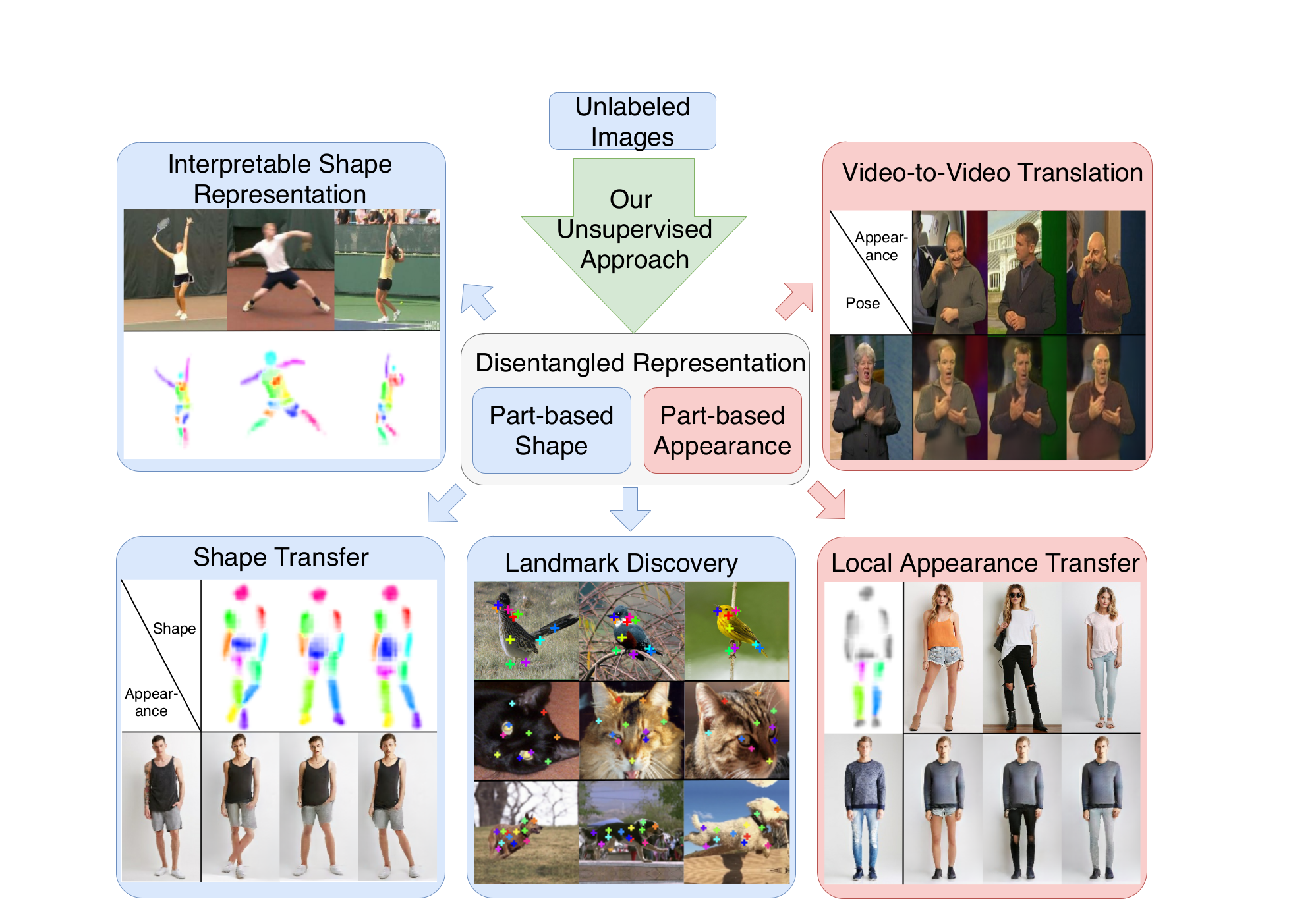 Unsupervised Part-Based Disentangling of Object Shape and Appearance
